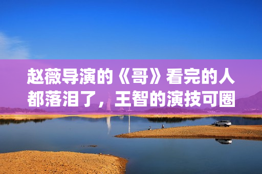赵薇导演的《哥》看完的人都落泪了，王智的演技可圈可点！(赵薇导演的《哥哥》视频)