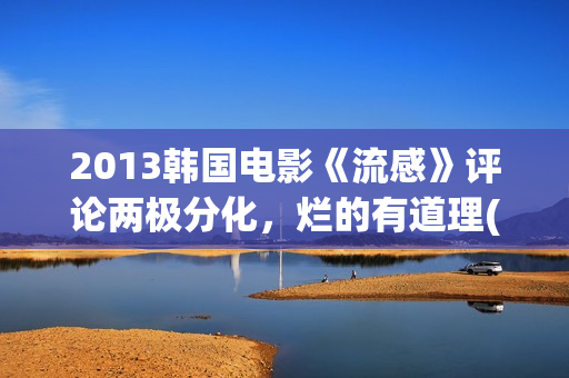 2013韩国电影《流感》评论两极分化，烂的有道理(韩国电影2011年)