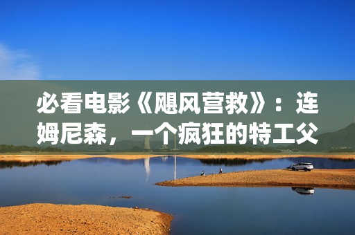 必看电影《飓风营救》：连姆尼森，一个疯狂的特工父亲，让人泪目(电影 飓风)
