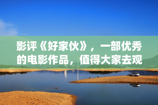 影评《好家伙》，一部优秀的电影作品，值得大家去观看！(影评《好家伙》在线观看)