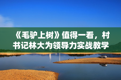 《毛驴上树》值得一看，村书记林大为领导力实战教学，学到就赚了(《毛驴上树》值得看吗)
