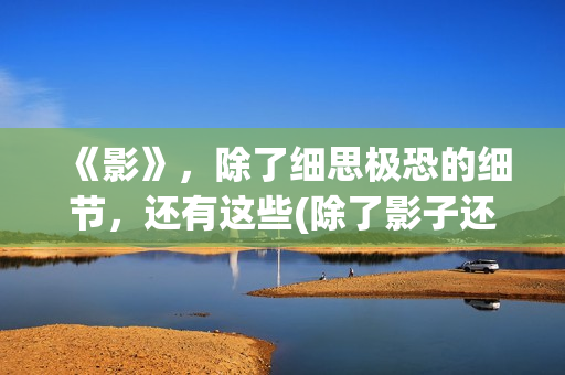 《影》，除了细思极恐的细节，还有这些(除了影子还有什么会对你不离不弃)