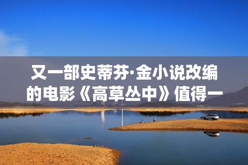 又一部史蒂芬·金小说改编的电影《高草丛中》值得一看(史蒂芬ricci)