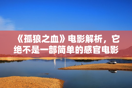 《孤狼之血》电影解析，它绝不是一部简单的感官电影