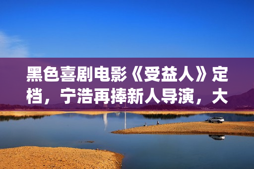 黑色喜剧电影《受益人》定档，宁浩再捧新人导演，大鹏演技惹争议(黑色喜剧 电影 2014)