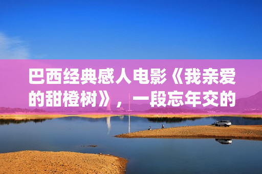 巴西经典感人电影《我亲爱的甜橙树》，一段忘年交的真挚故事(巴西的电影有哪些)