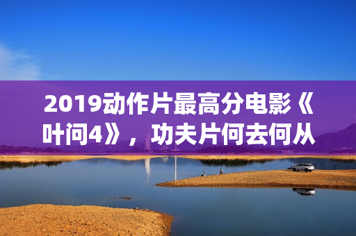 2019动作片最高分电影《叶问4》，功夫片何去何从？(2019动作电影排行榜)