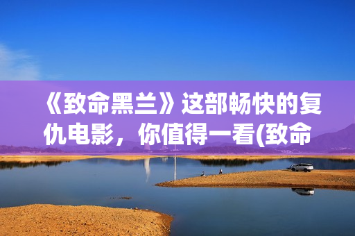 《致命黑兰》这部畅快的复仇电影，你值得一看(致命黑兰还叫什么名)