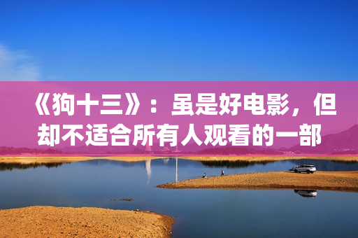 《狗十三》：虽是好电影，但却不适合所有人观看的一部电影！(狗十三讲得是什么)