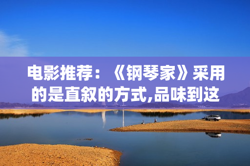 电影推荐：《钢琴家》采用的是直叙的方式,品味到这部史诗电影的历史厚重感(钢电影剧情)
