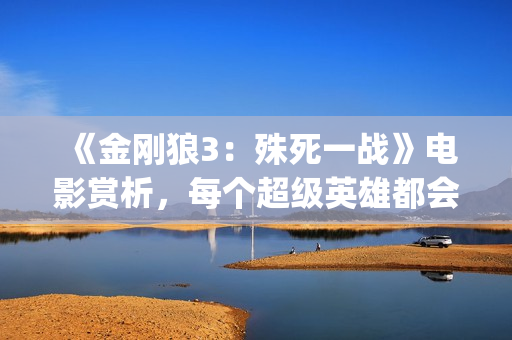 《金刚狼3：殊死一战》电影赏析，每个超级英雄都会有终章(金刚狼3:殊死一)