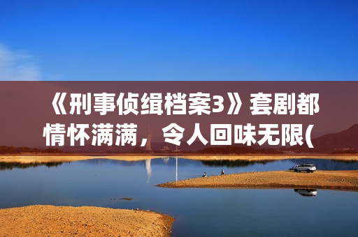 《刑事侦缉档案3》套剧都情怀满满，令人回味无限(刑事侦缉档案3国语版免费播放)