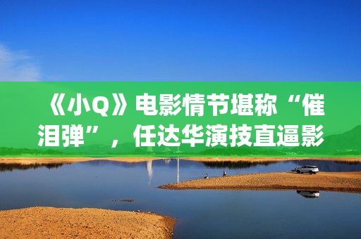 《小Q》电影情节堪称“催泪弹”，任达华演技直逼影帝(小q电影全集)