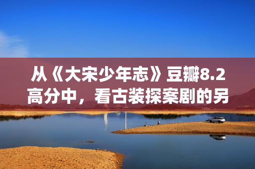 从《大宋少年志》豆瓣8.2高分中，看古装探案剧的另一种发展方向(大宋少年志?)