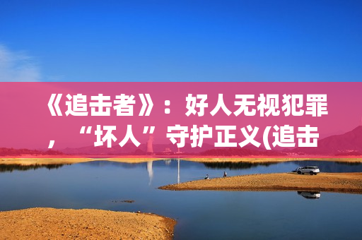《追击者》：好人无视犯罪，“坏人”守护正义(追击者cut)