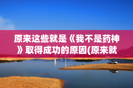 原来这些就是《我不是药神》取得成功的原因(原来就是这样的故事)