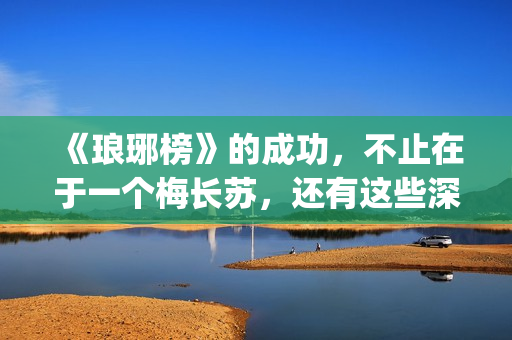 《琅琊榜》的成功，不止在于一个梅长苏，还有这些深入人心的角色(琅琊榜中的成语)