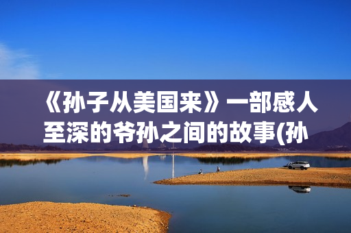 《孙子从美国来》一部感人至深的爷孙之间的故事(孙子从美国来 电影)