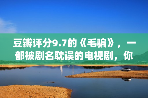 豆瓣评分9.7的《毛骗》，一部被剧名耽误的电视剧，你看过没？(豆瓣评分9.0以上的)