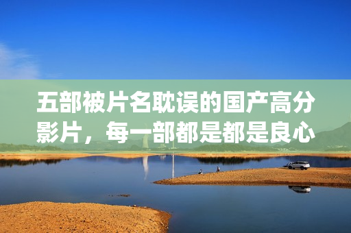 五部被片名耽误的国产高分影片，每一部都是都是良心之作(被耽误了的电影明星)