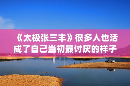 《太极张三丰》很多人也活成了自己当初最讨厌的样子(《太极张三丰》随缘歌词)