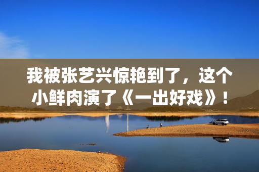 我被张艺兴惊艳到了，这个小鲜肉演了《一出好戏》！(张艺兴和我)