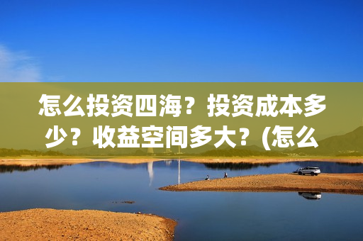 怎么投资四海？投资成本多少？收益空间多大？(怎么投资四海集团公司)
