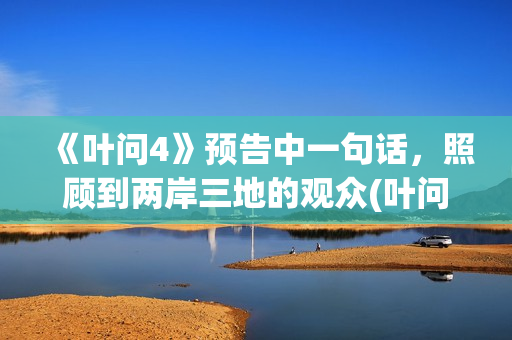 《叶问4》预告中一句话，照顾到两岸三地的观众(叶问4电影预告片)