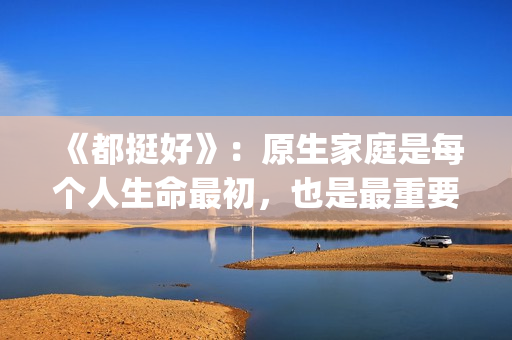 《都挺好》：原生家庭是每个人生命最初，也是最重要的关系。(都挺好原著结局太惨了)