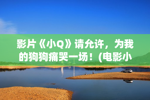 影片《小Q》请允许，为我的狗狗痛哭一场！(电影小q主演)