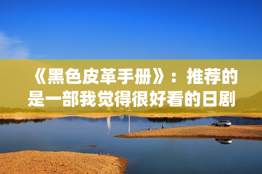 《黑色皮革手册》：推荐的是一部我觉得很好看的日剧(黑色皮革手册米仓版免费观看)