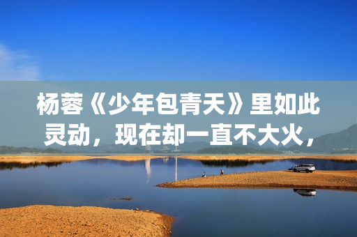 杨蓉《少年包青天》里如此灵动，现在却一直不大火，原因在这(杨蓉少年包青天)