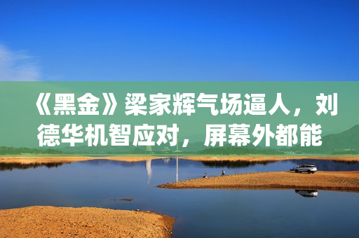 《黑金》梁家辉气场逼人，刘德华机智应对，屏幕外都能感觉到寒气(《黑金》梁家辉做旗袍)