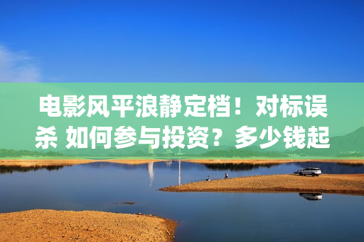 电影风平浪静定档！对标误杀 如何参与投资？多少钱起投(风平浪静是什么电影)