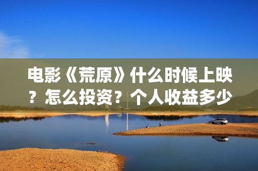 电影《荒原》什么时候上映？怎么投资？个人收益多少？(荒原电视)