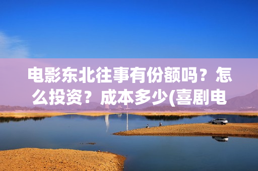 电影东北往事有份额吗？怎么投资？成本多少(喜剧电影东北往事)