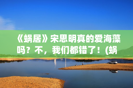 《蜗居》宋思明真的爱海藻吗？不，我们都错了！(蜗居宋思明最后出车祸时说了些什么)