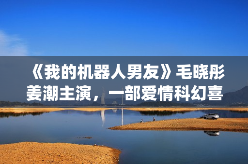 《我的机器人男友》毛晓彤姜潮主演，一部爱情科幻喜剧片！(我的机器人男友短剧)