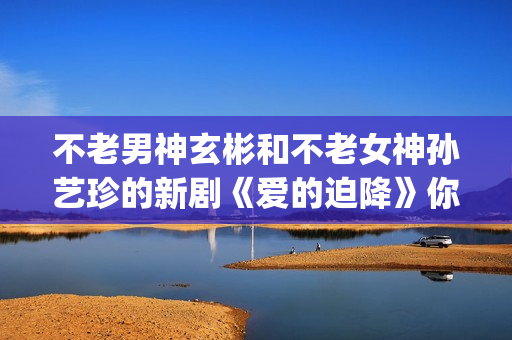 不老男神玄彬和不老女神孙艺珍的新剧《爱的迫降》你追剧了吗？(不老男神歌星)