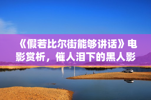 《假若比尔街能够讲话》电影赏析，催人泪下的黑人影片(假如比尔街能够说话)