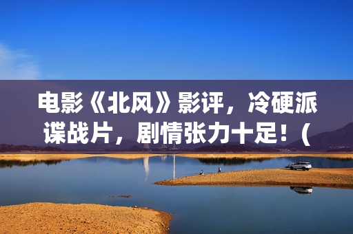 电影《北风》影评，冷硬派谍战片，剧情张力十足！(北风 电影)