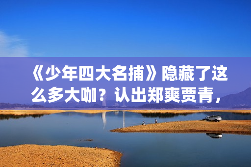 《少年四大名捕》隐藏了这么多大咖？认出郑爽贾青，却没认出她！(少年四大名捕演员表全部)