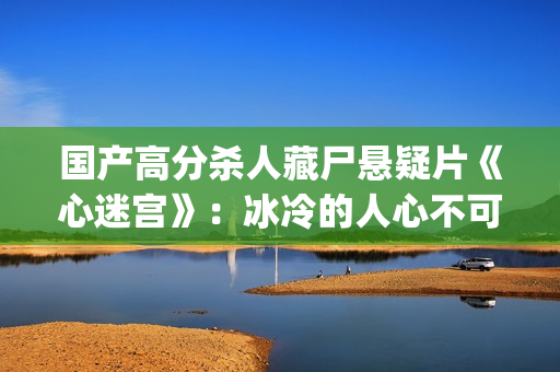 国产高分杀人藏尸悬疑片《心迷宫》：冰冷的人心不可直视(国产凶杀破案的电影)
