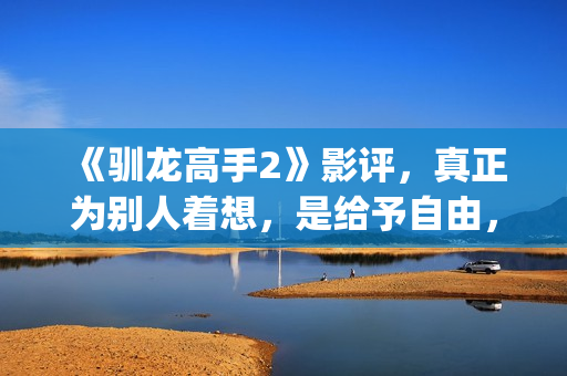 《驯龙高手2》影评，真正为别人着想，是给予自由，这才是真的爱(驯龙高手2在线观看)
