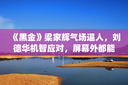 《黑金》梁家辉气场逼人，刘德华机智应对，屏幕外都能感觉到寒气(《黑金》梁家辉和老婆)