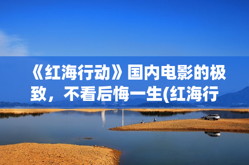 《红海行动》国内电影的极致，不看后悔一生(红海行动svd)