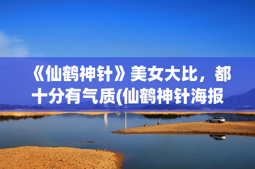 《仙鹤神针》美女大比，都十分有气质(仙鹤神针海报)