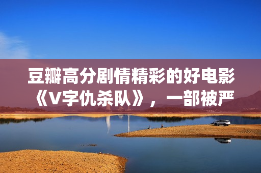 豆瓣高分剧情精彩的好电影《V字仇杀队》，一部被严重低估的大作(豆瓣高分剧情精选)