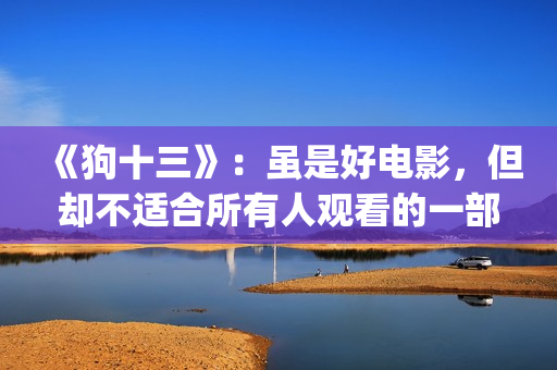 《狗十三》：虽是好电影，但却不适合所有人观看的一部电影！(狗十三改编自哪部小说)
