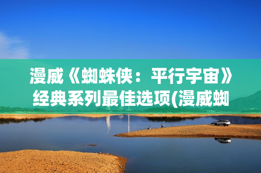 漫威《蜘蛛侠：平行宇宙》经典系列最佳选项(漫威蜘蛛侠3)